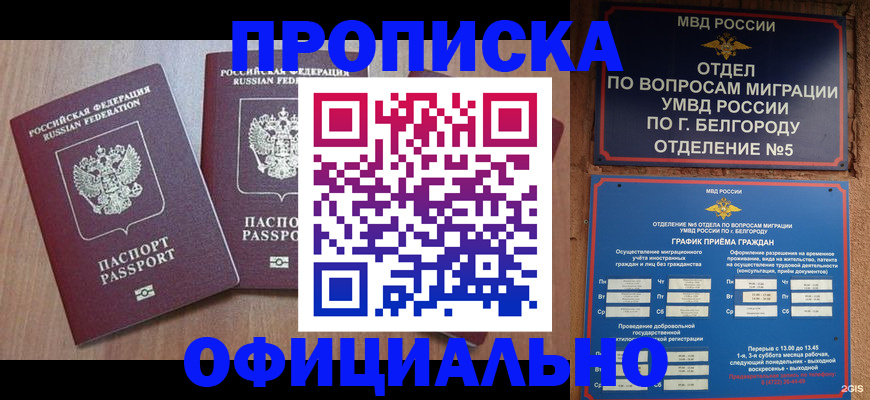 найти адрес прописки в Белой Холунице